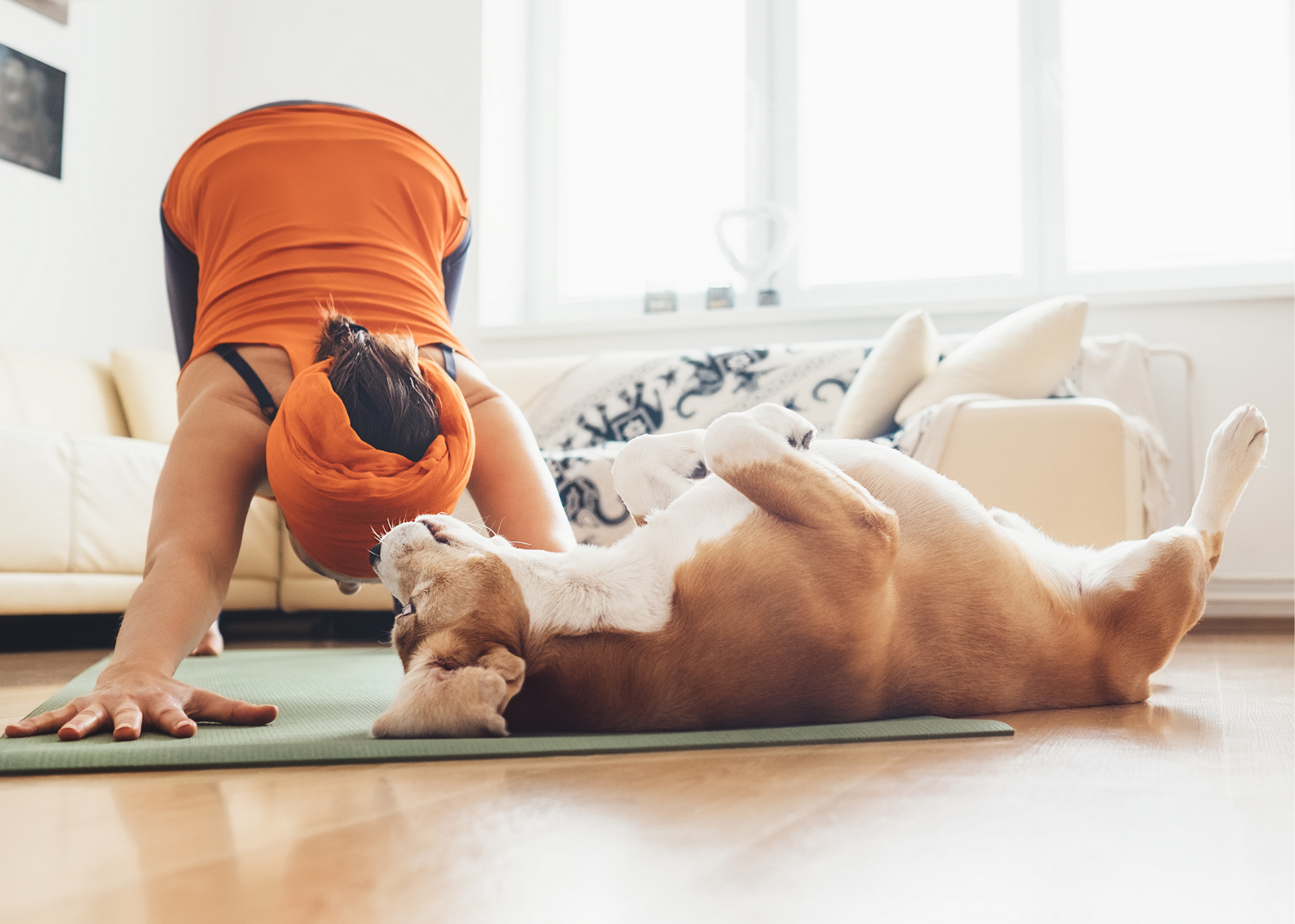 dog yoga